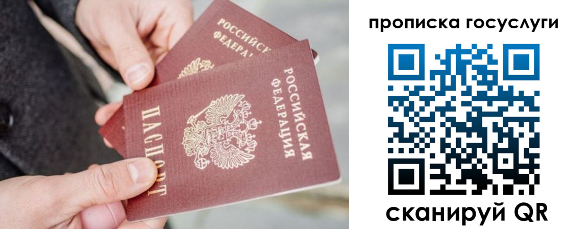 прописка 2025 в Бийске
